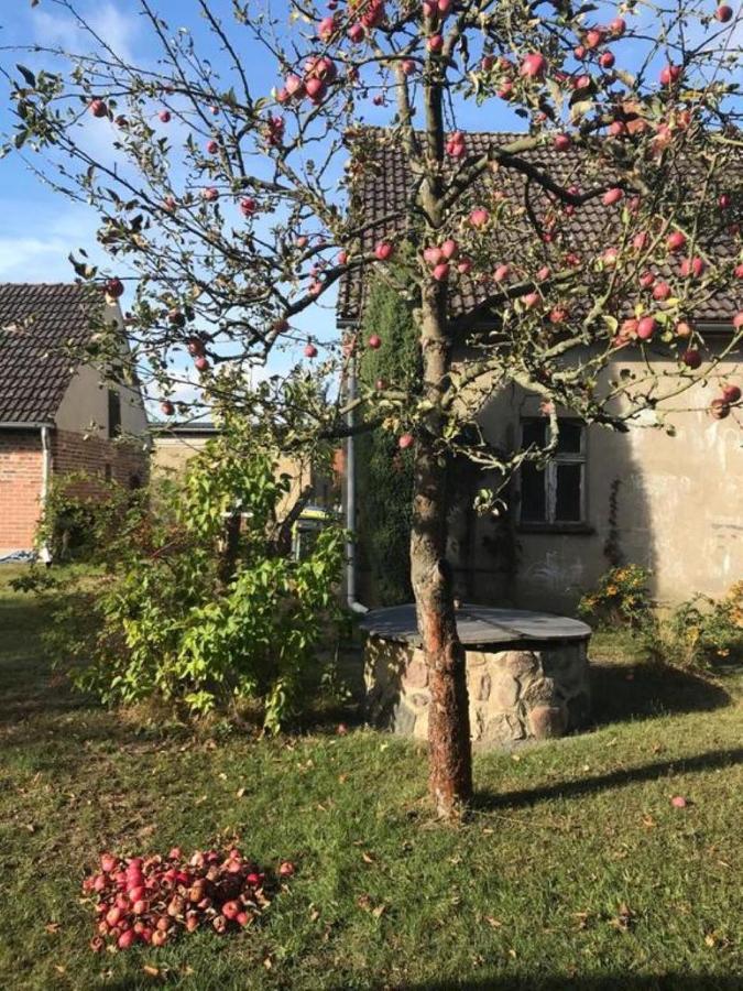 Ferienhof Mochowsee Schwielochsee Zewnętrze zdjęcie