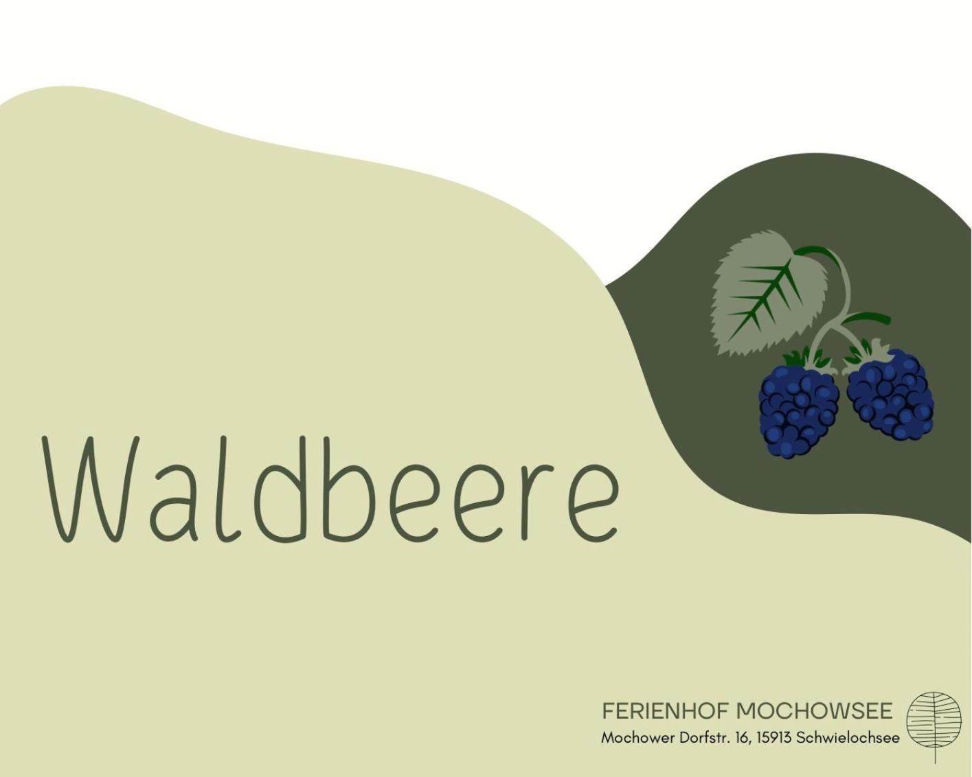 Ferienhof Mochowsee Schwielochsee Pokój zdjęcie